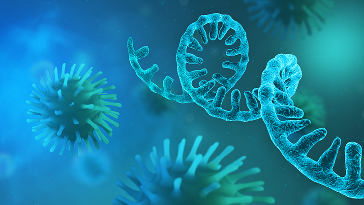 Gene  expression in RNA therapeutics