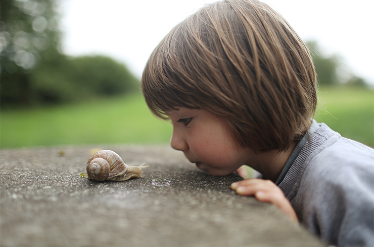 Kid looking closely at a snail