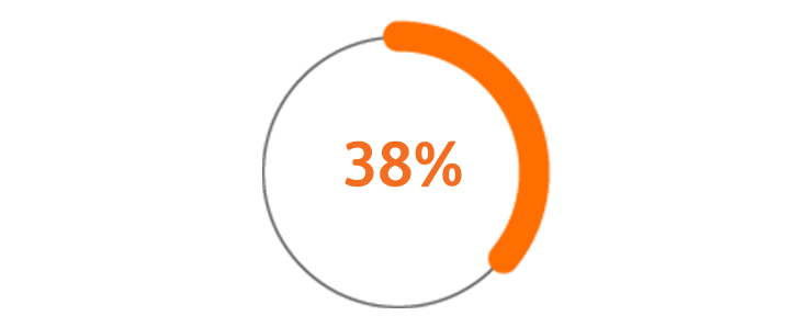 Percentage 38% icon