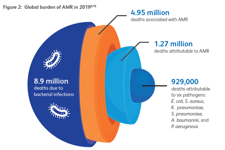Global burden of AMR in 2019