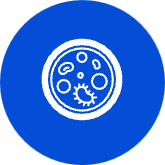 Icon 5